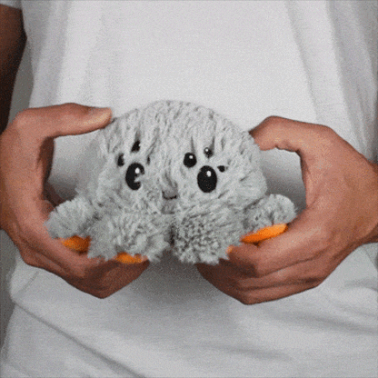 Reversible Spider Pumpkin (50% Off)